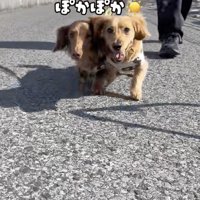 「たのしい！！」