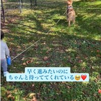 犬と男の子の後ろ姿1