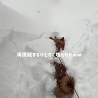 また埋もれそうに…