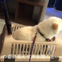 看護師さんが現れたら…