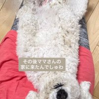 投稿主さんに繋がった