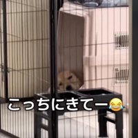 とことん塩対応