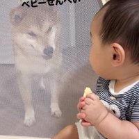 振り向く赤ちゃん