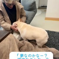 ぴったり寄り添う犬と人