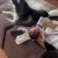 ゼレンちゃんもやってきた