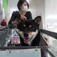ホームセンターにやってきました