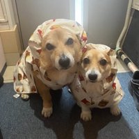 とっても仲良し