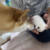 みんなで見守ってきました