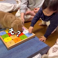 オヤツ探し開始！と思いきや…