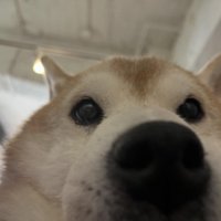 下からの眺め