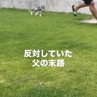 犬を飼うのは反対だったパパが…