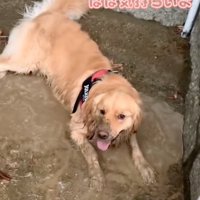 全身が泥だらけに
