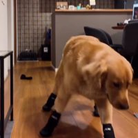 「足裏がおかしい…」