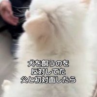 八角くんとお父さんの初対面2