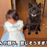 離れがたいふたり