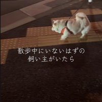 「こっちかな？」