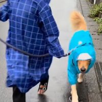 固い絆で結ばれている2人