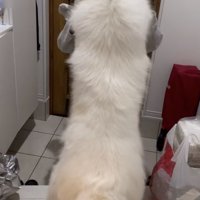 「おかえりぃぃ」