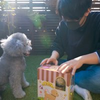 グリィくんにおもちゃをプレゼント