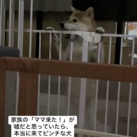 止まらないイタズラ