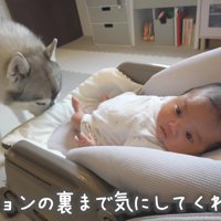 「裏もキレイにしなきゃ」