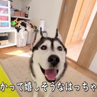 「家出したかと思ったよ～」