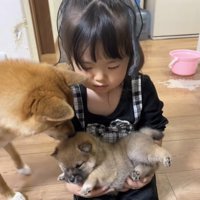 成犬が近づく様子
