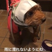 実用性はバツグン！？