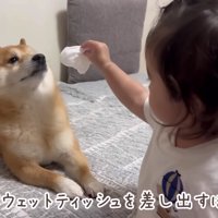 再びうにくんの元へ