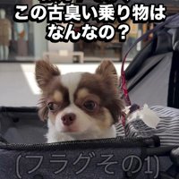 ちょっぴり怖いときもあるけど…