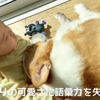 赤ちゃんが振り向くと…