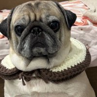 想像と違う仕上がりに！
