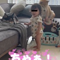 何度も名前を呼ぶ息子さん