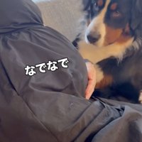 そっと見守ります