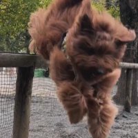 「エスカレーター以外なら任せて！！」