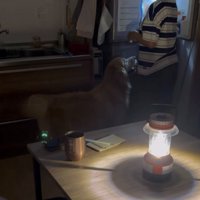 冷蔵庫の前にいる犬と人