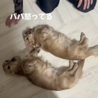 「なんでぇ〜？」