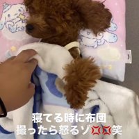 人間のようなスタイル