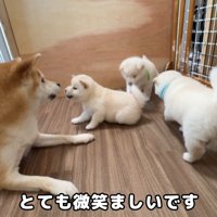 楽しそう♪