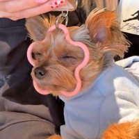 気持ち良さそうな寝顔♡