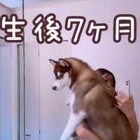 るい君の成長記録7