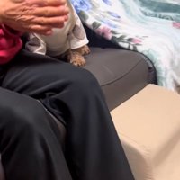 音頭をとるおばあちゃん