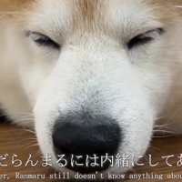 サプライズが待っています…♪