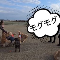 おやつを食べるにこちゃん