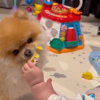 記念すべき瞬間