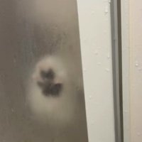 前足をかけると…