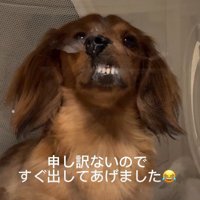 シュールな光景に爆笑♪