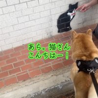 「あそびたい…！」