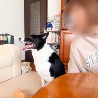 5日ぶりの再会…