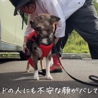 初めは怖かったけど…